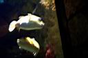 2002 Las Vegas 097.jpg